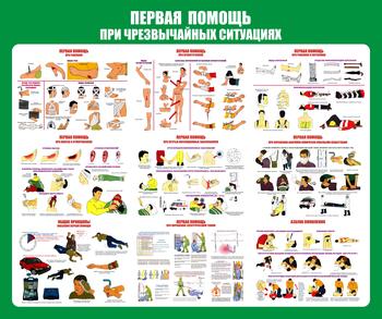 С20-1 Стенд Оказание первой помощи при ЧС (670х800 мм, пластик ПВХ 3 мм, алюминиевый багет золотого цвета) - Стенды - Стенды по первой медицинской помощи - магазин "Охрана труда и Техника безопасности"